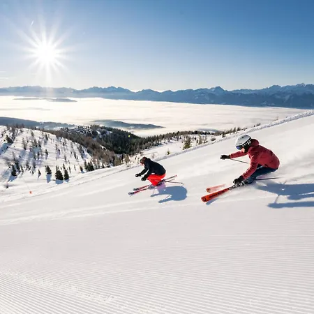 Drau Bed and breakfast 3*